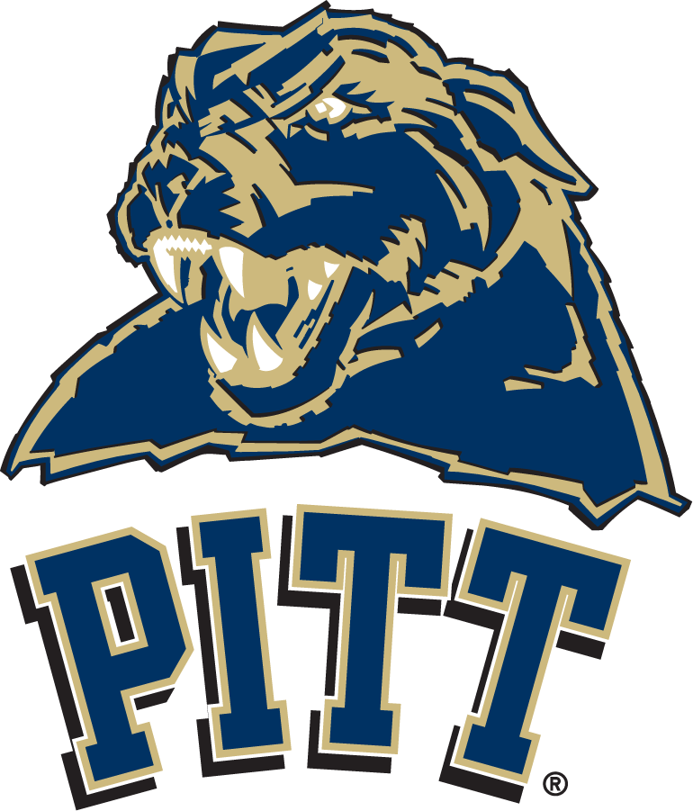 Pittsburgh Panthers 2005-2006 Secondary Logo diy iron on heat transfer